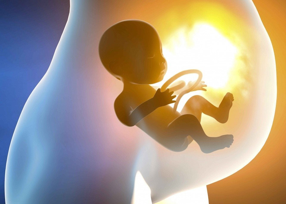 孕妇的卵泡发育小，应该怎么调整？